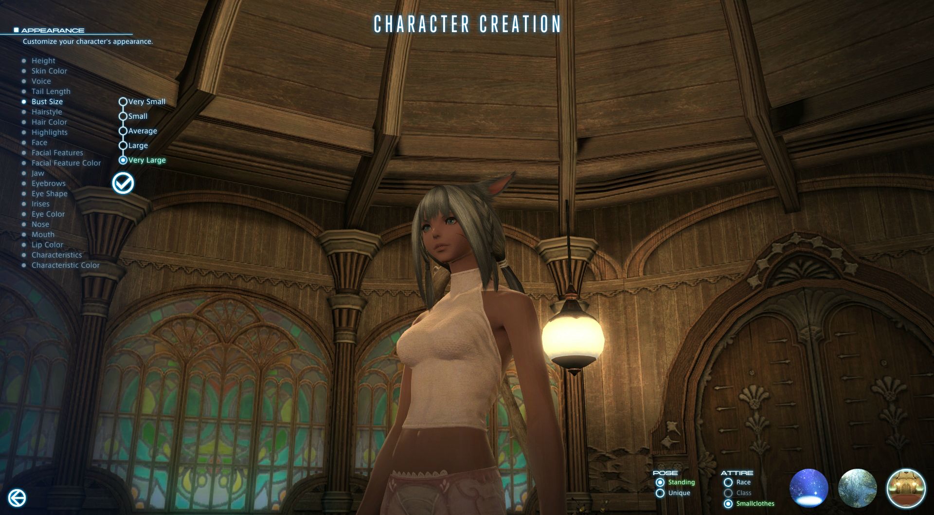 Video Final Fantasy XIV : A Realm Reborn