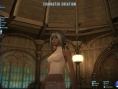Video Final Fantasy XIV : A Realm Reborn