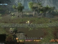 Screens Final Fantasy XIV : A Realm Reborn