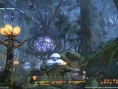 Screens Final Fantasy XIV : A Realm Reborn