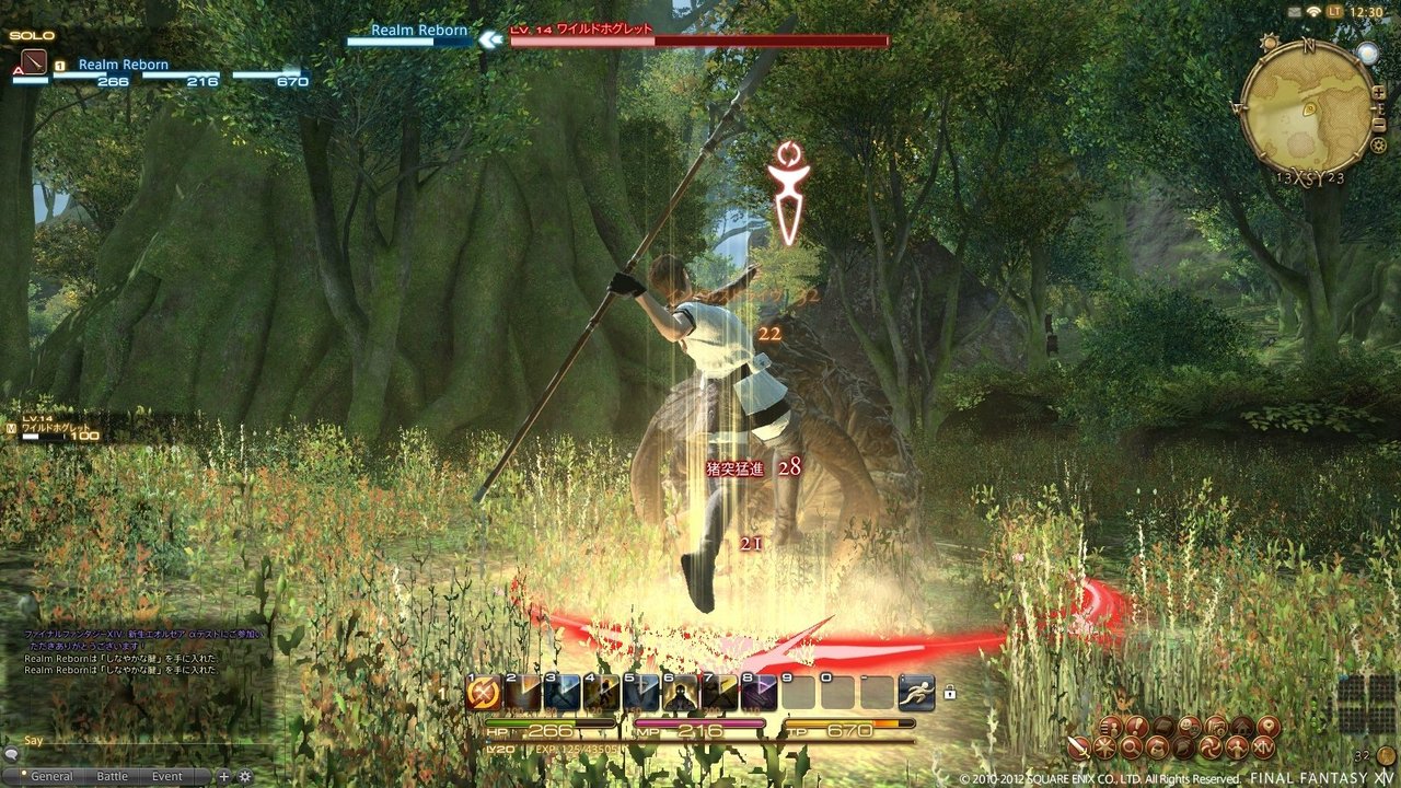 Images Final Fantasy XIV : A Realm Reborn