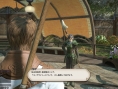Screens Final Fantasy XIV : A Realm Reborn