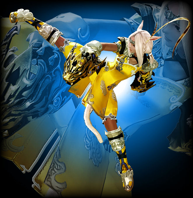 FFXIV A Realm Reborn : les classes illustrées