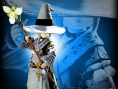 FFXIV A Realm Reborn : les classes illustrées