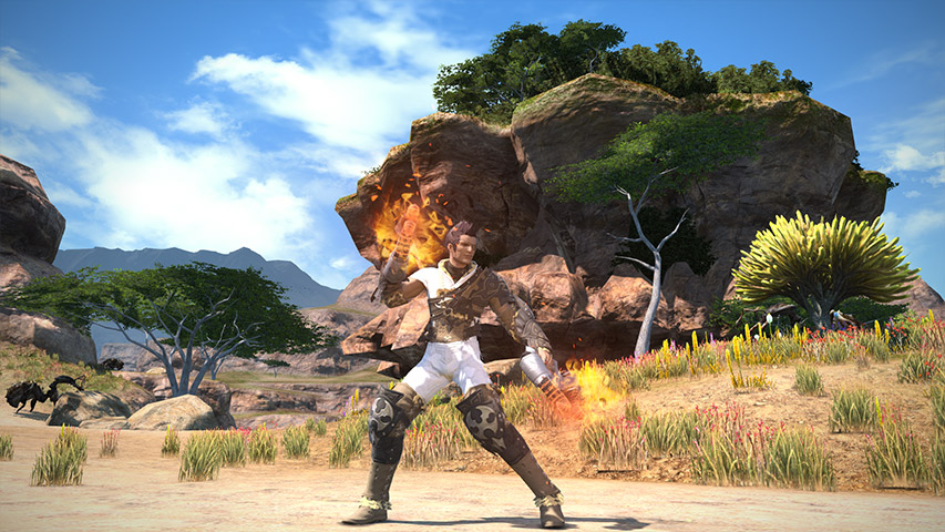 Screens Final Fantasy XIV : A Realm Reborn