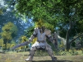 FFXIV A Realm Reborn : les classes illustrées