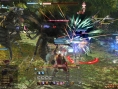 FFXIV A Realm Reborn : le plein d'images