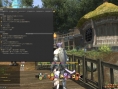 FFXIV A Realm Reborn : le plein d'images