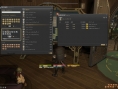 FFXIV A Realm Reborn : le plein d'images