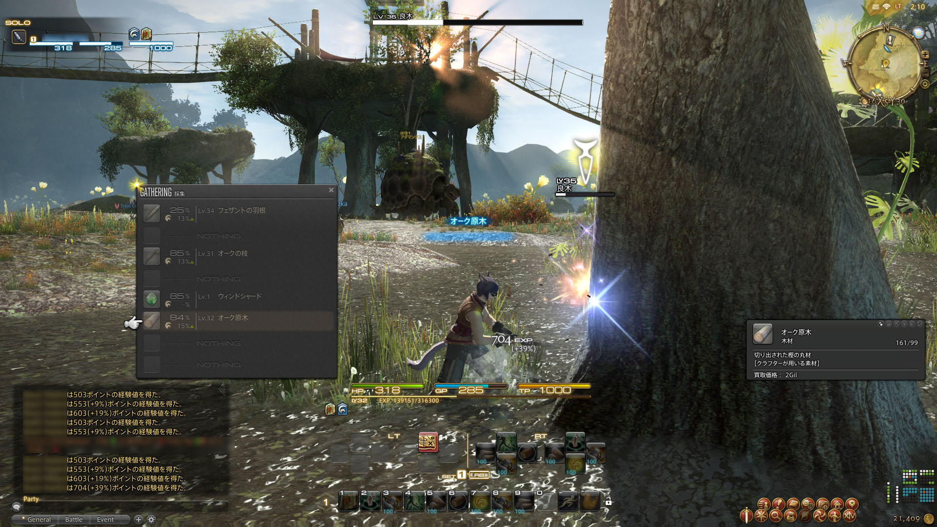 FFXIV A Realm Reborn : le plein d'images