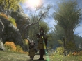 FFXIV A Realm Reborn : le plein d'images