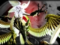 Screens Final Fantasy XIV : A Realm Reborn