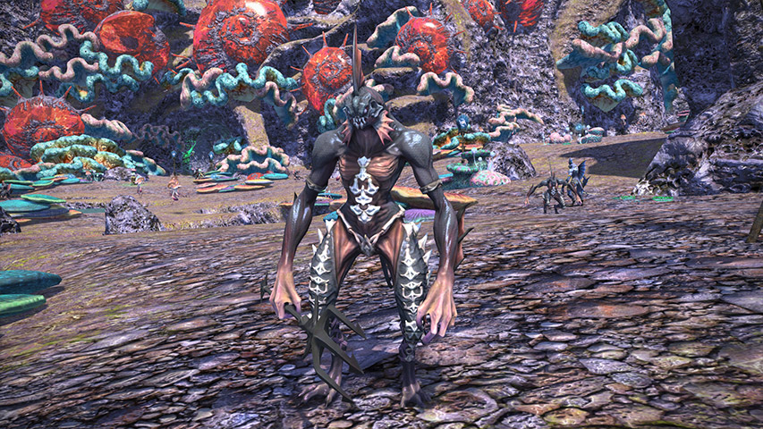 Screens Final Fantasy XIV : A Realm Reborn