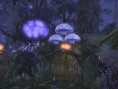 Screens Final Fantasy XIV : A Realm Reborn