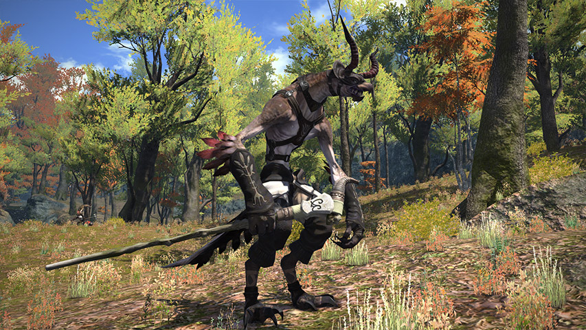 Video Final Fantasy XIV : A Realm Reborn