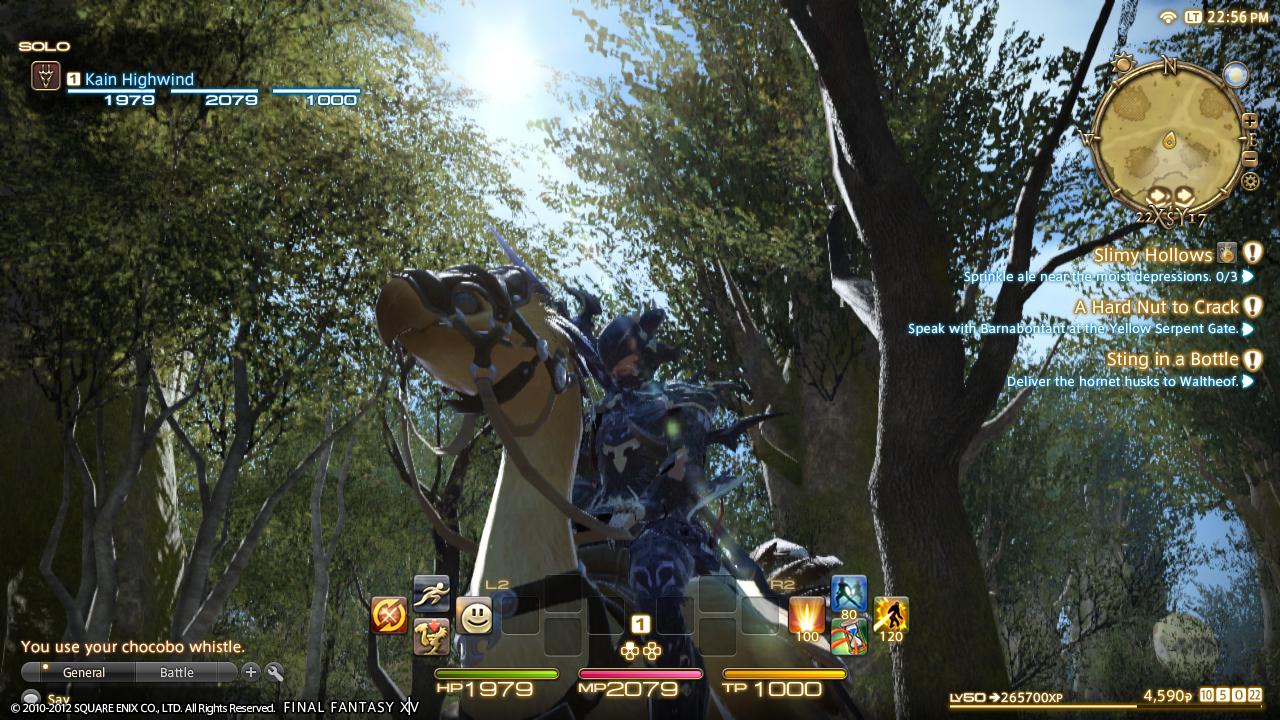 Final Fantasy XIV : des images PS3