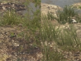 MGS V : le comparo en images