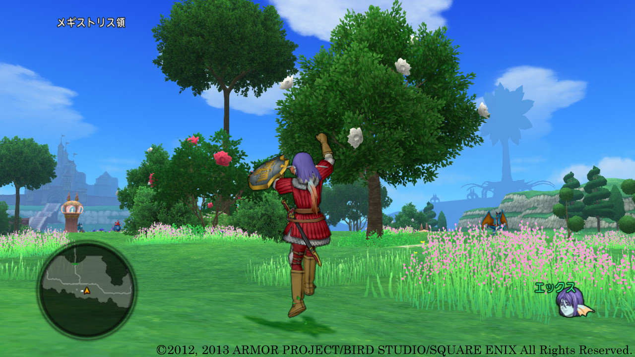 Screens Dragon Quest X Wii U