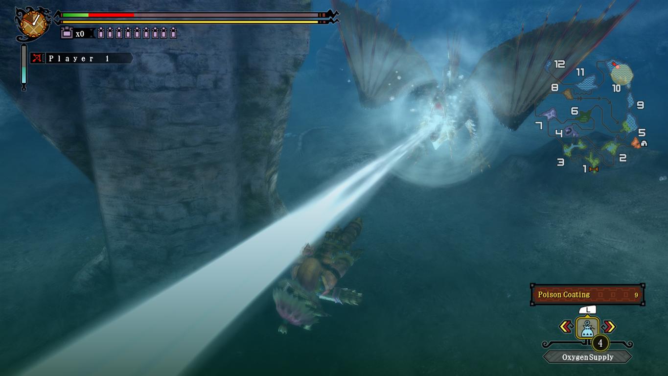 Monster Hunter 3 Ultimate : encore des images
