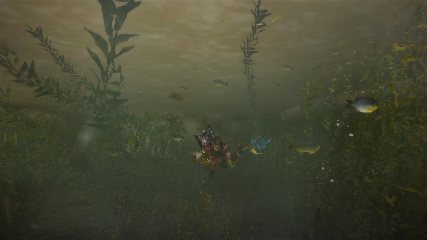 Monster Hunter 3 Ultimate : encore des images
