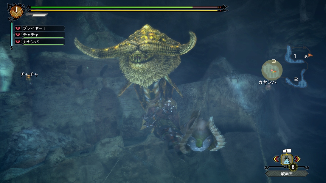 Screens Monster Hunter 3 Ultimate