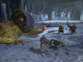 Screens Monster Hunter 3 Ultimate (Wii U)