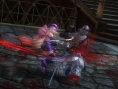 Screens Ninja Gaiden Sigma 2