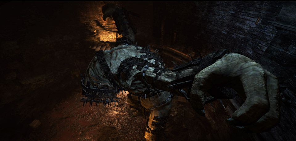 Screens Dragon's Dogma : Dark Arisen