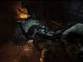 Screens Dragon's Dogma : Dark Arisen