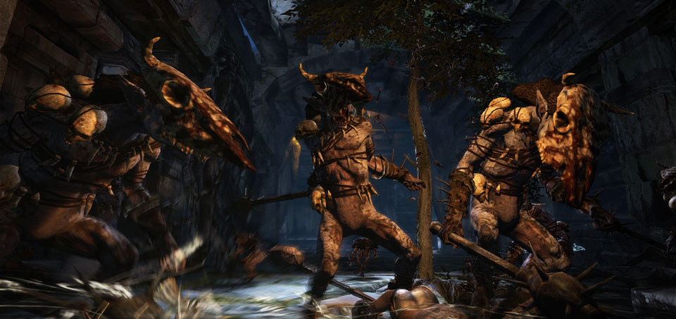 Images Dragon's Dogma : Dark Arisen