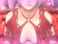 Valhalla Knights 3 : images et artworks
