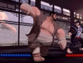 Screens Karateka (Remake)