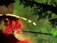 Screens Puddle Wii U