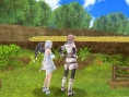 Screens Shining Ark