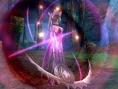 Screens Shining Ark