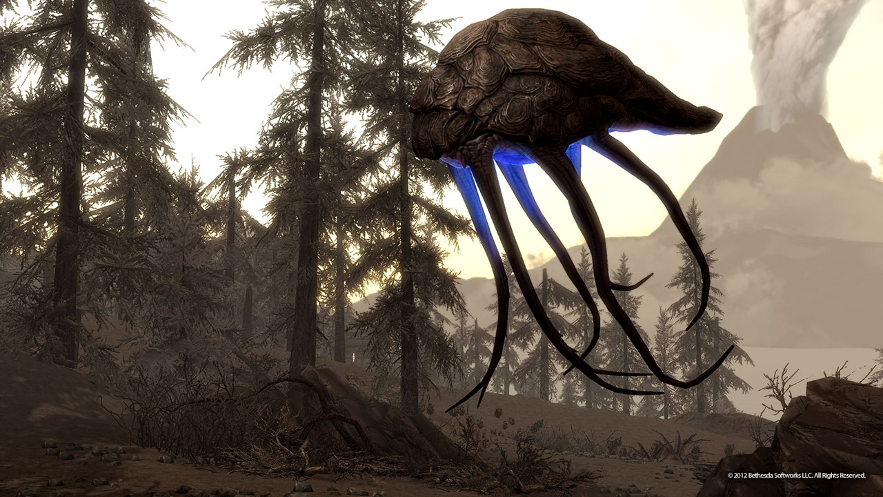 Skyrim - Dragonborn : premières images