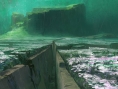 Destiny : artworks et vidéos [UP]