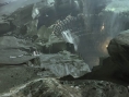 Destiny aura de bons serveurs au lancement