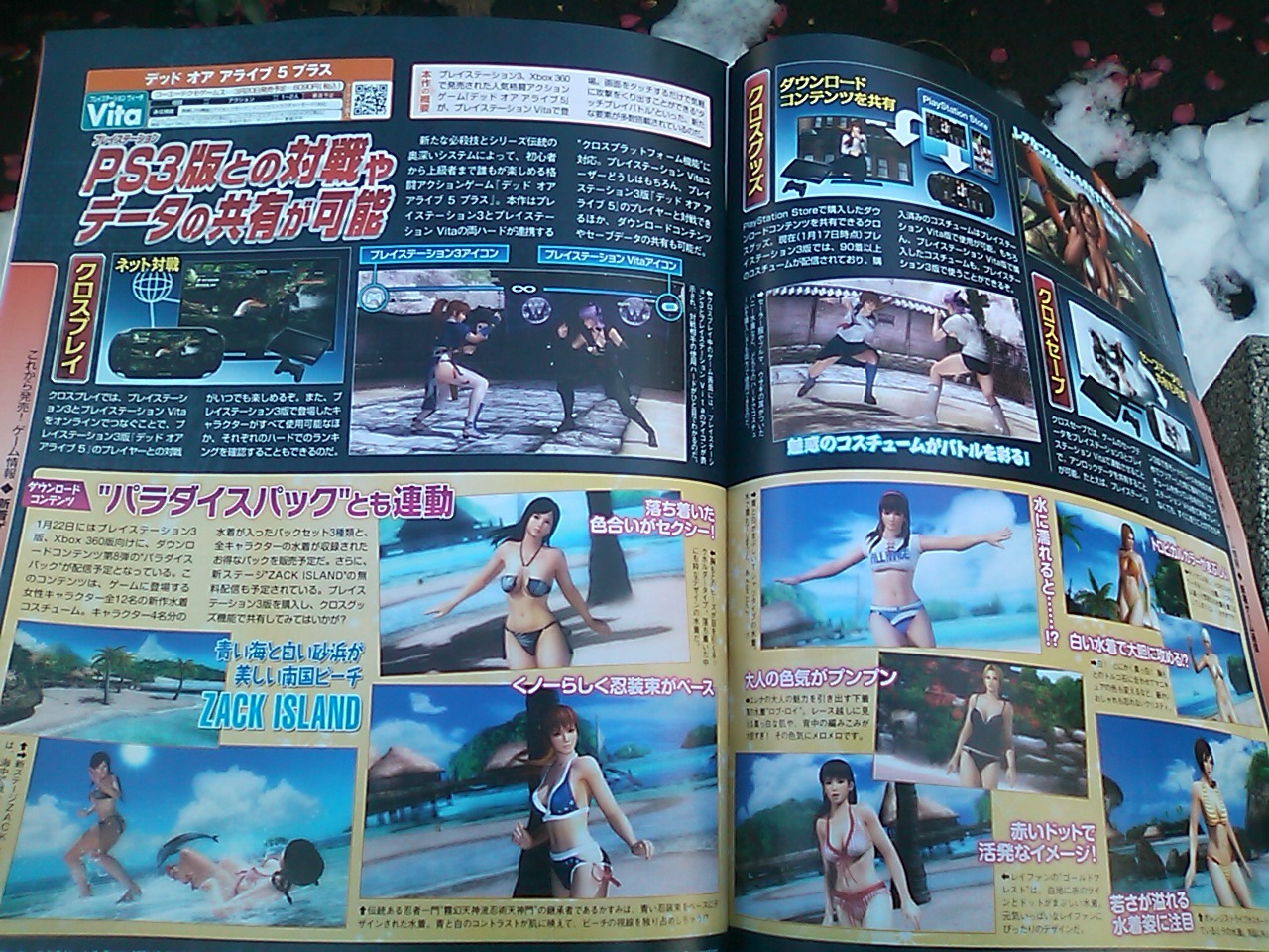 Scan Dead or Alive 5 Plus