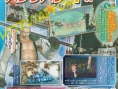 Scan One Piece PW2 (Smoker & Law)