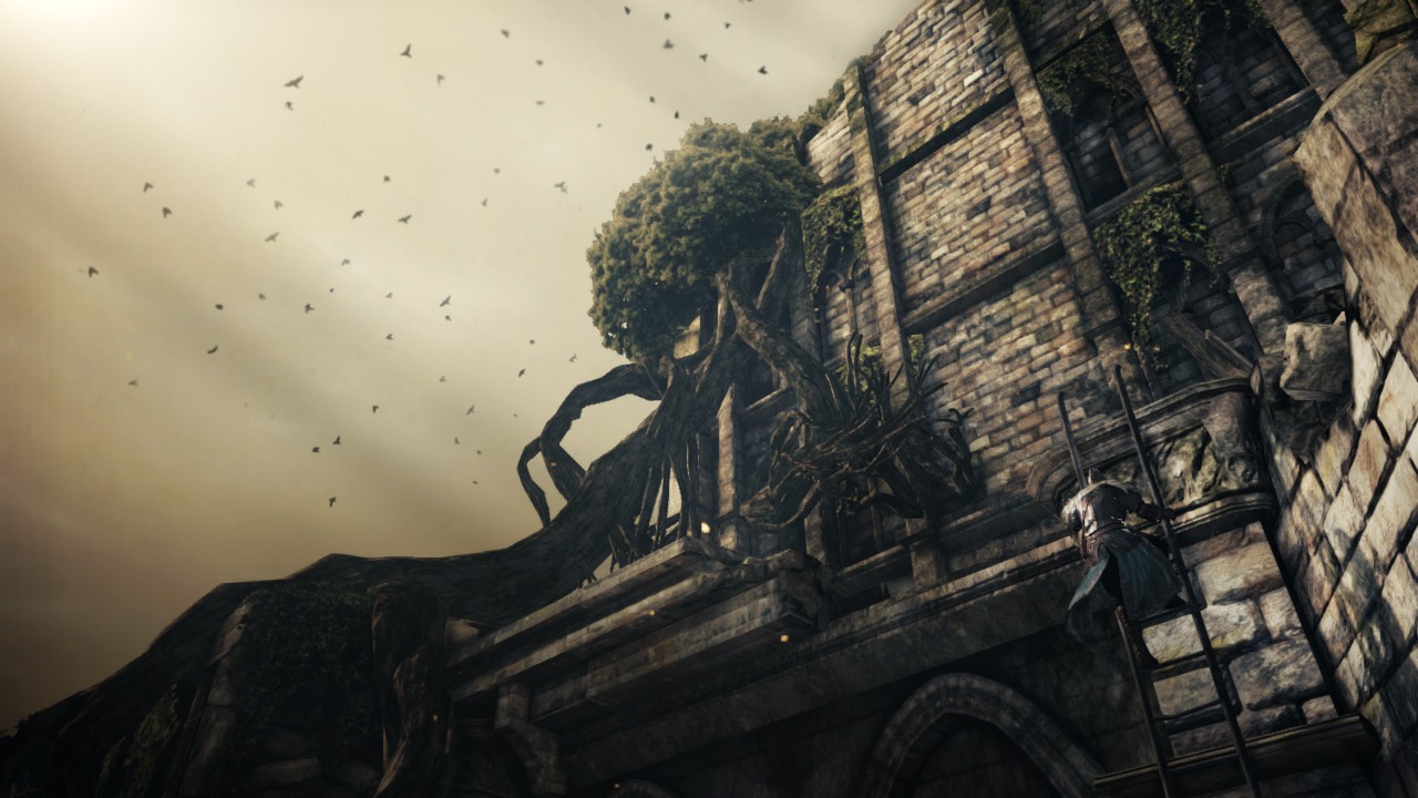 Screens Dark Souls II