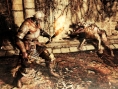 Screens Dark Souls II