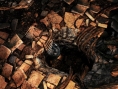 Dark Souls II : inscriptions à la bêta