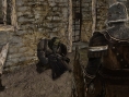 Dark Souls 2 : images et vidéo de gameplay