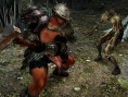 Screens Dark Souls 2