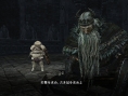 Dark Souls II : la seconde extension illustrée