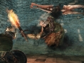 Dark Souls II : la seconde extension illustrée