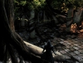 Dark Souls II : 4 classes en vidéos