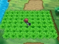 Screens Pokémon X & Y