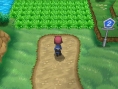 Screens Pokémon X & Y